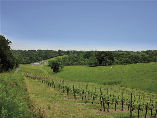 Sentier d'interprétation forestier Le bois du Laring