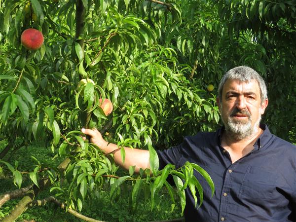 Robert Bordenave Montesquieu- Pêche Roussanne