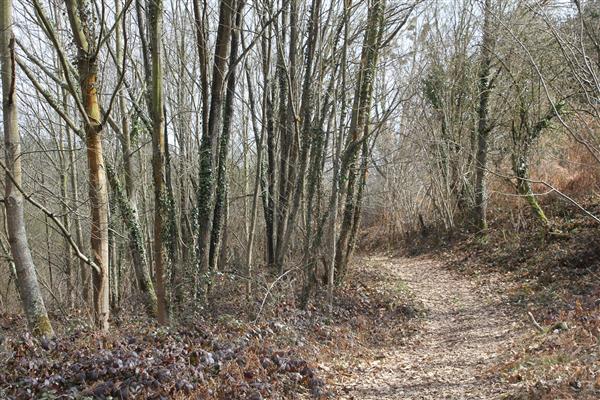 Sentier Lac de l'aubin doazon ©OT Coeurdebearn