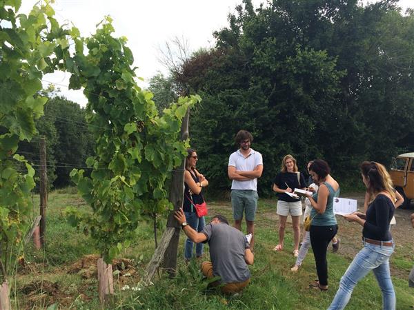 Soupcon-en-Jurancon-enquete-vignoble