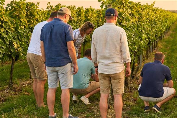 Soupçons en Jurançon