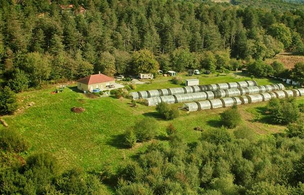 Spiruline d'Aquitaine - Serres