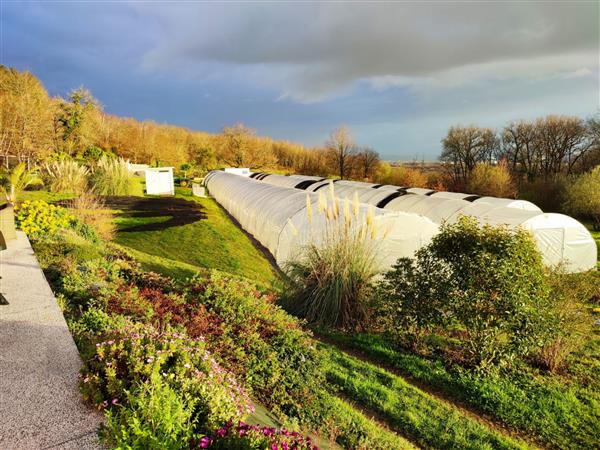 Spiruline d'Aquitaine - vue-pyrenees-et-serres