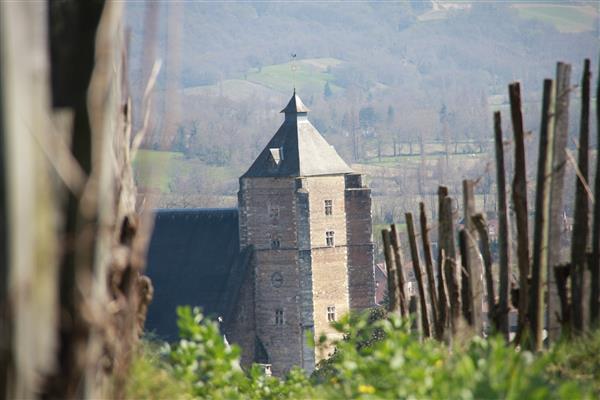 Terra aventura - Le Jurançon du succès