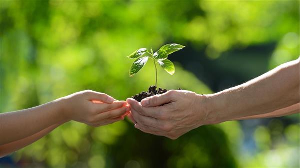 Bourse d'échanges de plantes