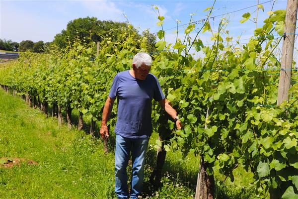 Domaine malarrode monein vin jurancon Gaston