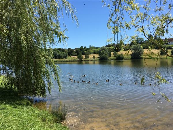 rando laqueyre orthez lac