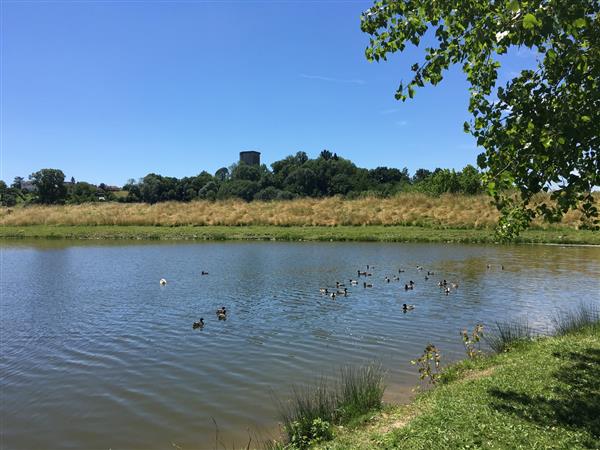 rando laqueyre orthez lac grecq