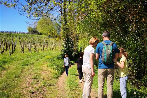 Terra Aventura : Le Jurançon du succés