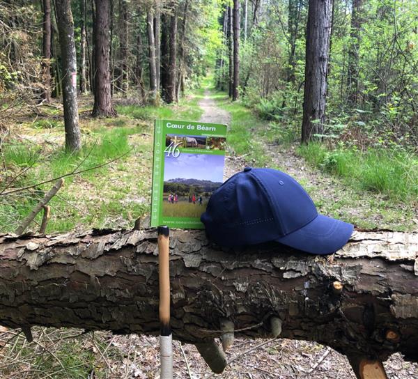 forêt et guide urdès